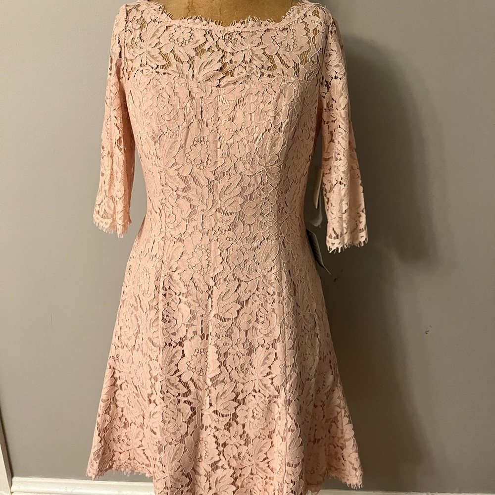 Eliza J Pink Lace Dress. Size 8 Brand New